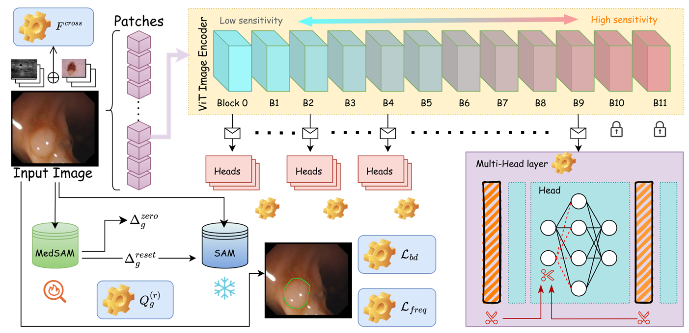 MedCore_overview.png